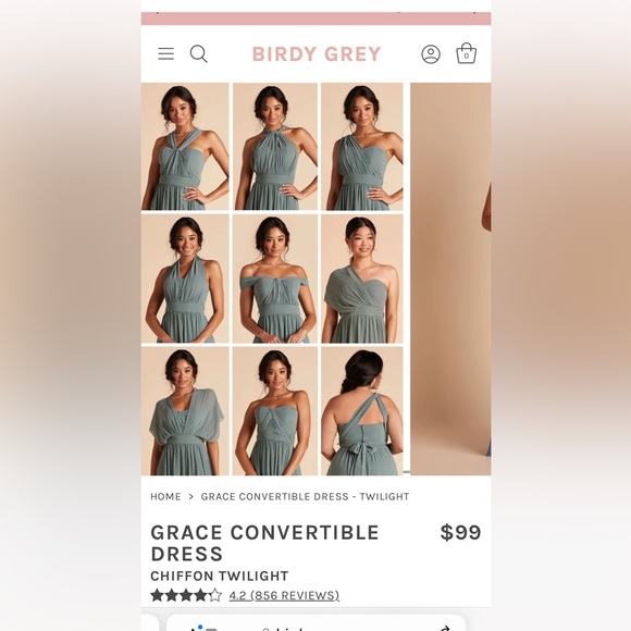 NEW Birdy Grey GRACE CONVERTIBLE DRESS CHIFFON TWILIGHT Size Small - Picture 3 of 7